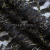 Кружевное полотно XD LACE 1-4, 80 гр/м2, шир.150см, цвет чёрный - купить в Нижневартовске. Цена 245.94 руб.