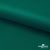 Ткань подкладочная Таффета, 19-5420, 53 г/м2, антистатик, шир. 150 см, вечнозеленый - купить в Нижневартовске. Цена 57.16 руб.