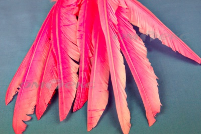 Декоративный Пучок из перьев, перо 25см/розовый - купить в Нижневартовске. Цена: 14.54 руб.
