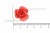 Украшение "Розы малые №1" 20мм - купить в Нижневартовске. Цена: 32.49 руб.