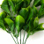 Трава искусственная -1, шт (эвкалипт лист 32 см/8 см)				 - купить в Нижневартовске. Цена: 169.93 руб.