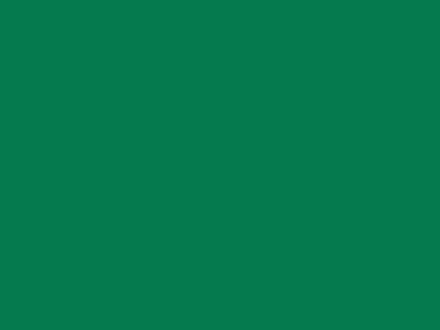 85 см № 258 яр. зеленый спираль (G) сорт-2 - купить в Нижневартовске. Цена: 16.97 руб.