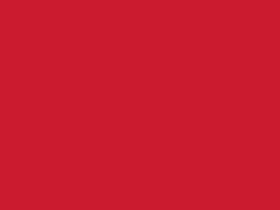 Сетка подкладочная красный, 60г/м2 (10 м/кг) - купить в Нижневартовске. Цена 885.73 руб.