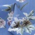 Плательная ткань "Фламенко" 12.1, 80 гр/м2, шир.150 см, принт растительный - купить в Нижневартовске. Цена 241.49 руб.