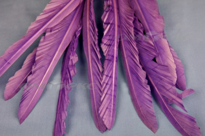 Декоративный Пучок из перьев, перо 25см/фиолетовый - купить в Нижневартовске. Цена: 12.19 руб.