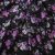 Плательная ткань "Фламенко" 20.1, 80 гр/м2, шир.150 см, принт растительный - купить в Нижневартовске. Цена 241.49 руб.