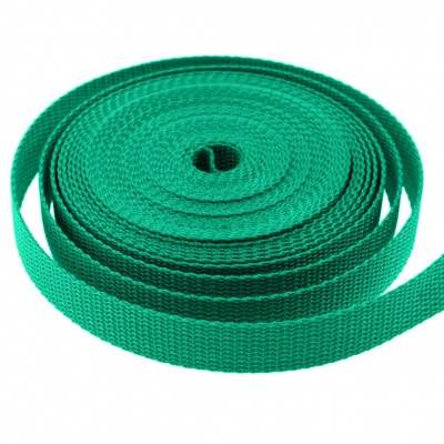Стропа текстильная, шир. 25 мм (в нам. 50+/-1 ярд), цвет яр.зелёный - купить в Нижневартовске. Цена: 397.52 руб.
