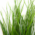 Трава искусственная -4, шт  (осока 50 см/8 см  7 листов)				 - купить в Нижневартовске. Цена: 130.73 руб.