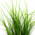 Трава искусственная -3, шт (осока 50 см/8 см  5 листов)				 - купить в Нижневартовске. Цена: 124.17 руб.